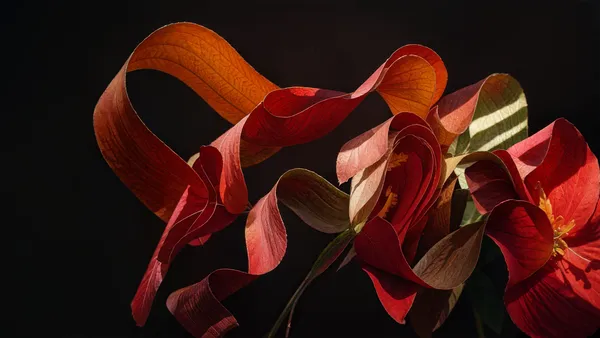 Arte en Papel
