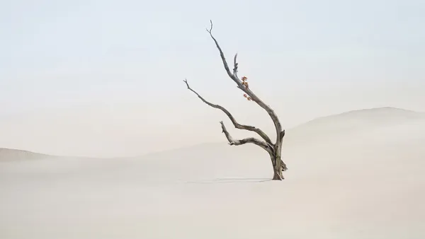 Arte Surrealista