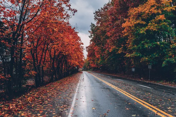 Carreteras Vacías