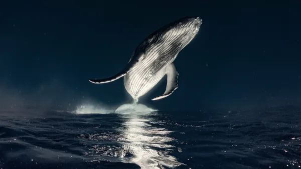Océano