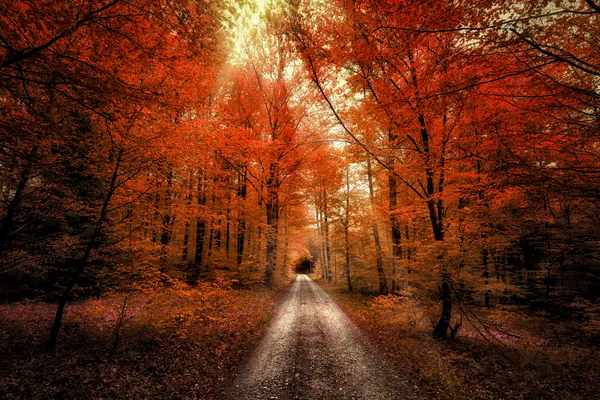 Caminos de tierra