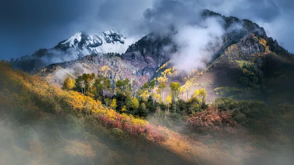 Bosques de otoño