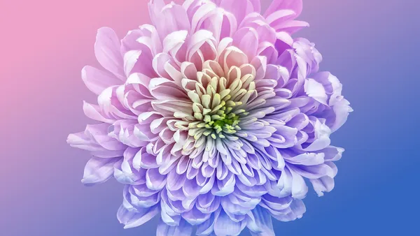Colores Pastel