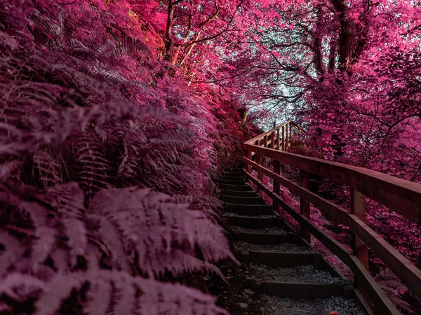 Escaleras