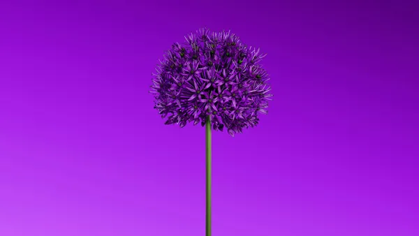Flor morada