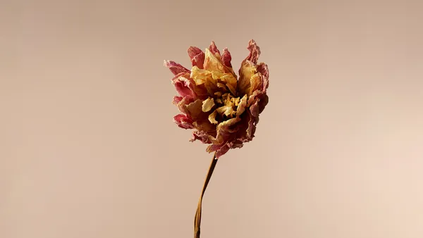 Dalias