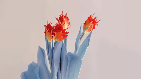 Flor roja