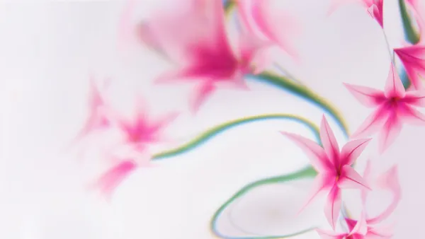 Diseños Florales