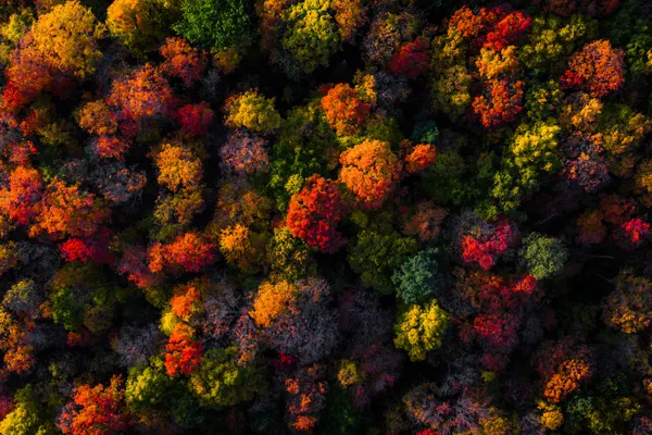 Otoño