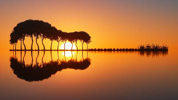 Reflejos