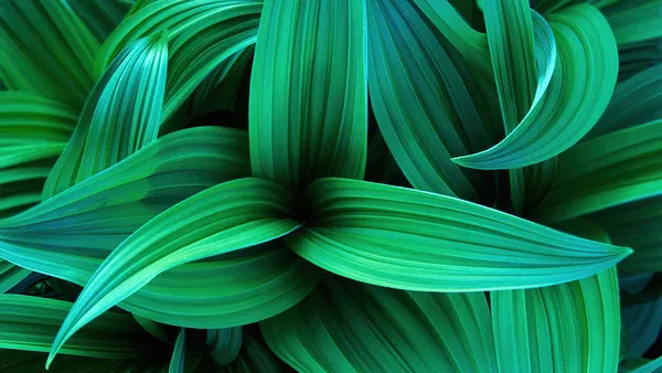 Hojas verdes