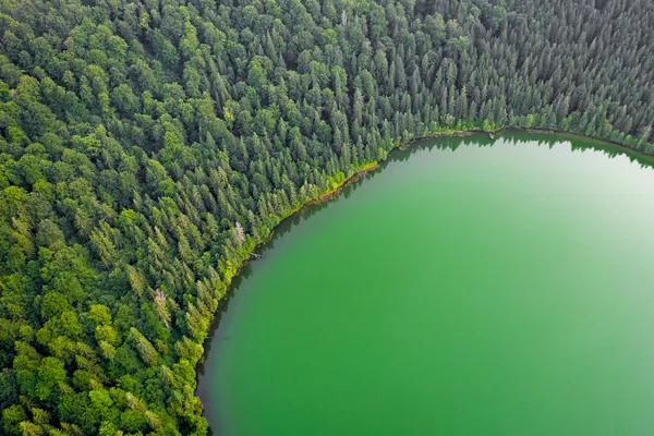 Paisajes Forestales