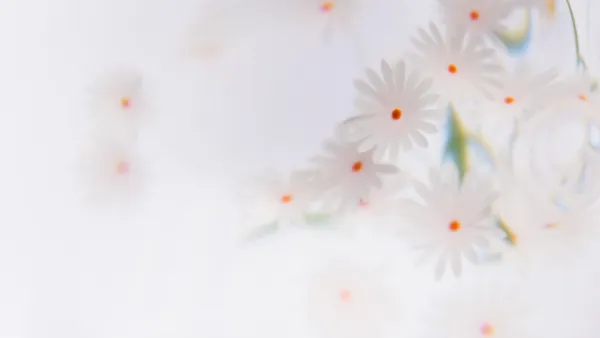 Fondo Floral