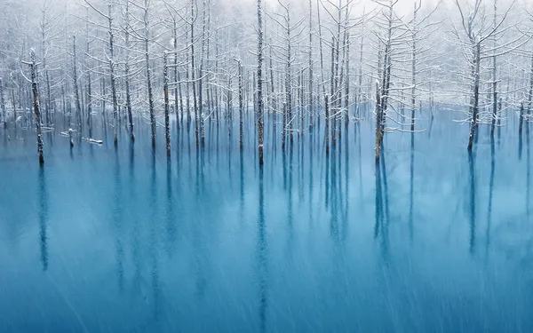 Invierno