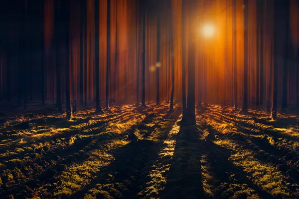 Bosques oscuros