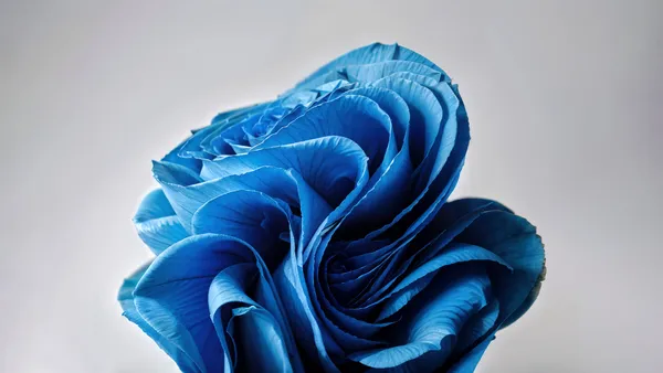 Flores azules
