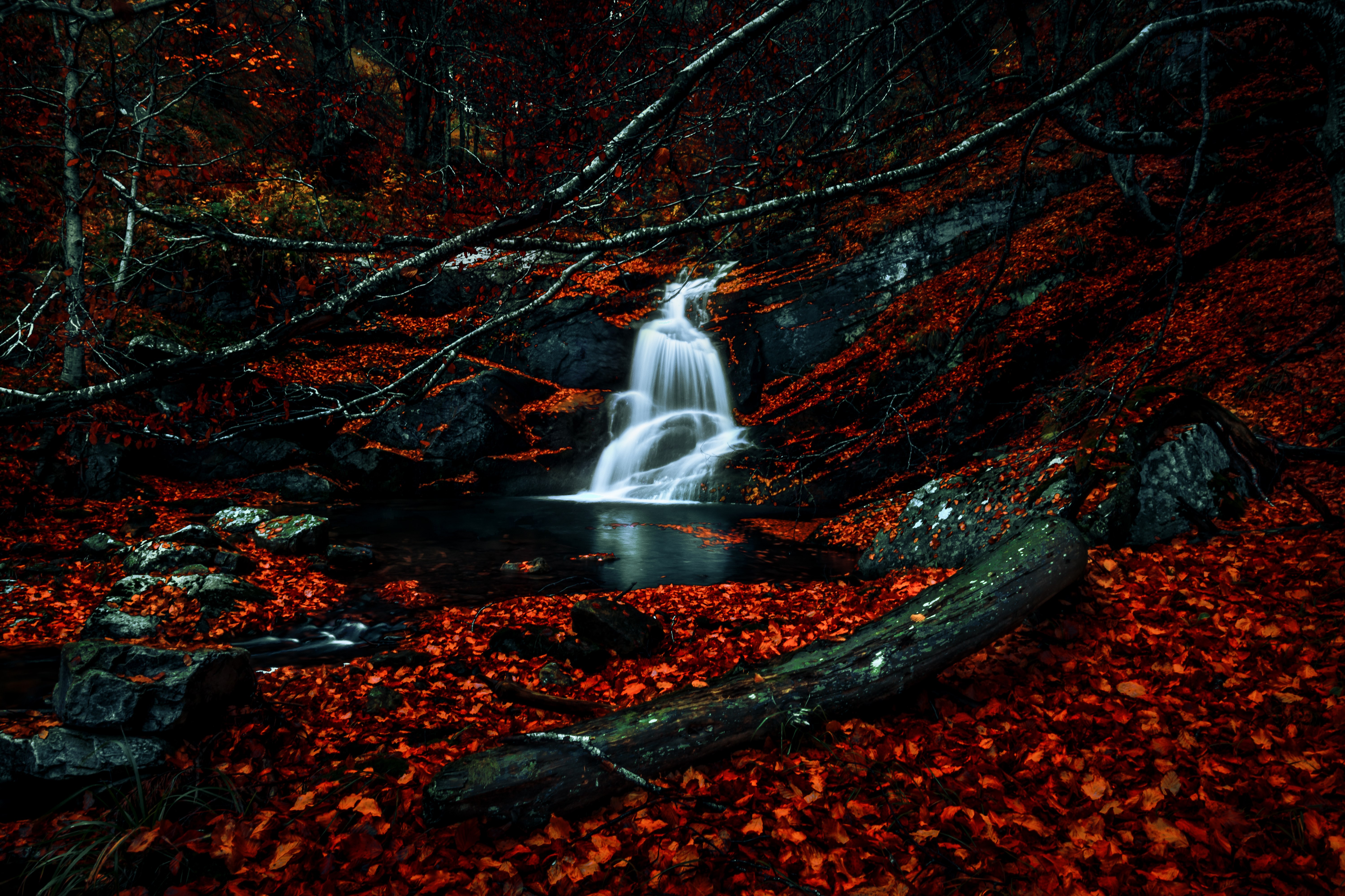 Cascadas, Otoño, Bosque oscuro, Follaje, Bosques, Hojas rojas, Hojas caídas, Corriente de agua, Escénico, 5K, Rojo oscuro
