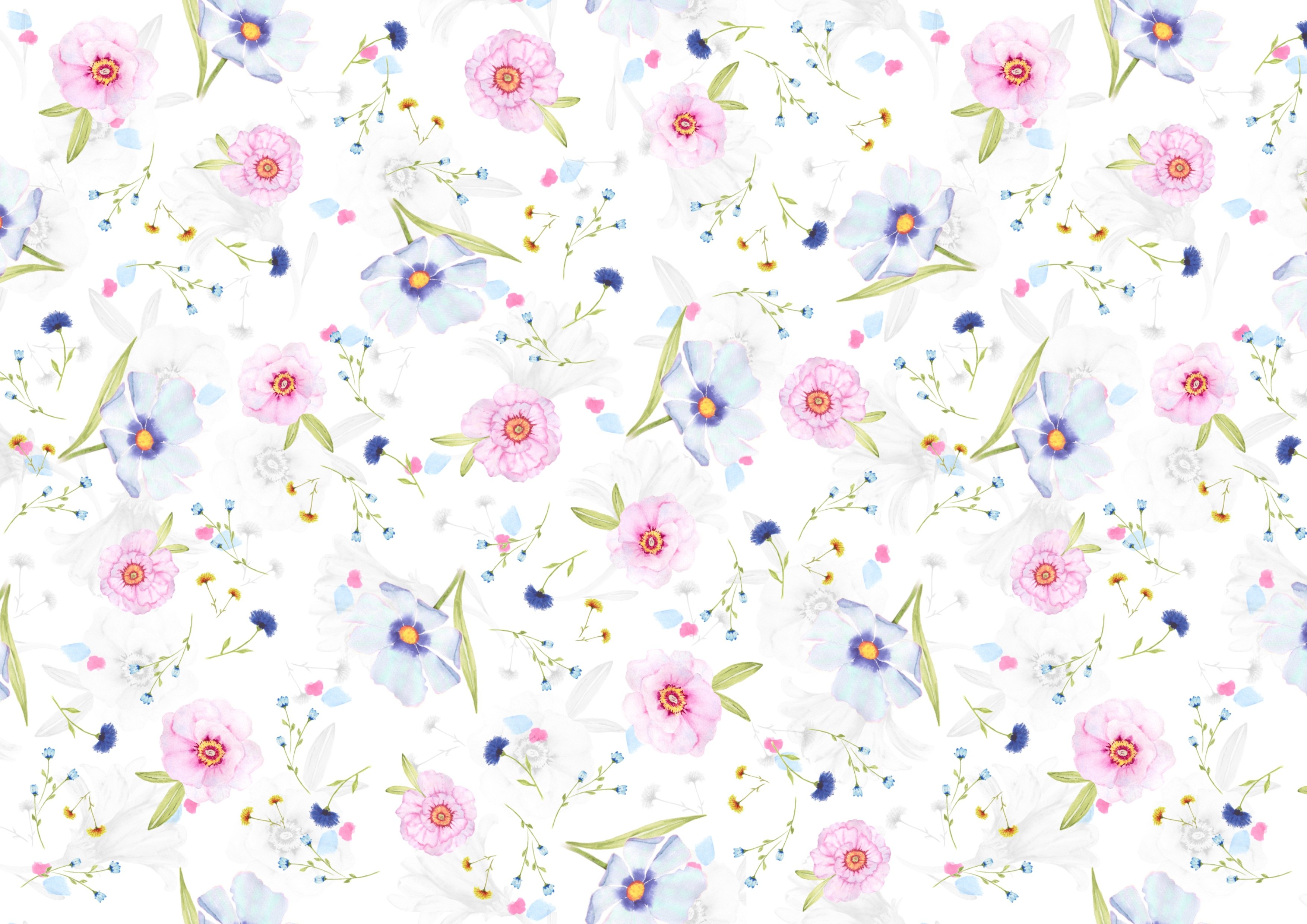 Diseños florales, Fondo blanco, Estampados florales, Fondos femeninos, Floral, Flores rosas