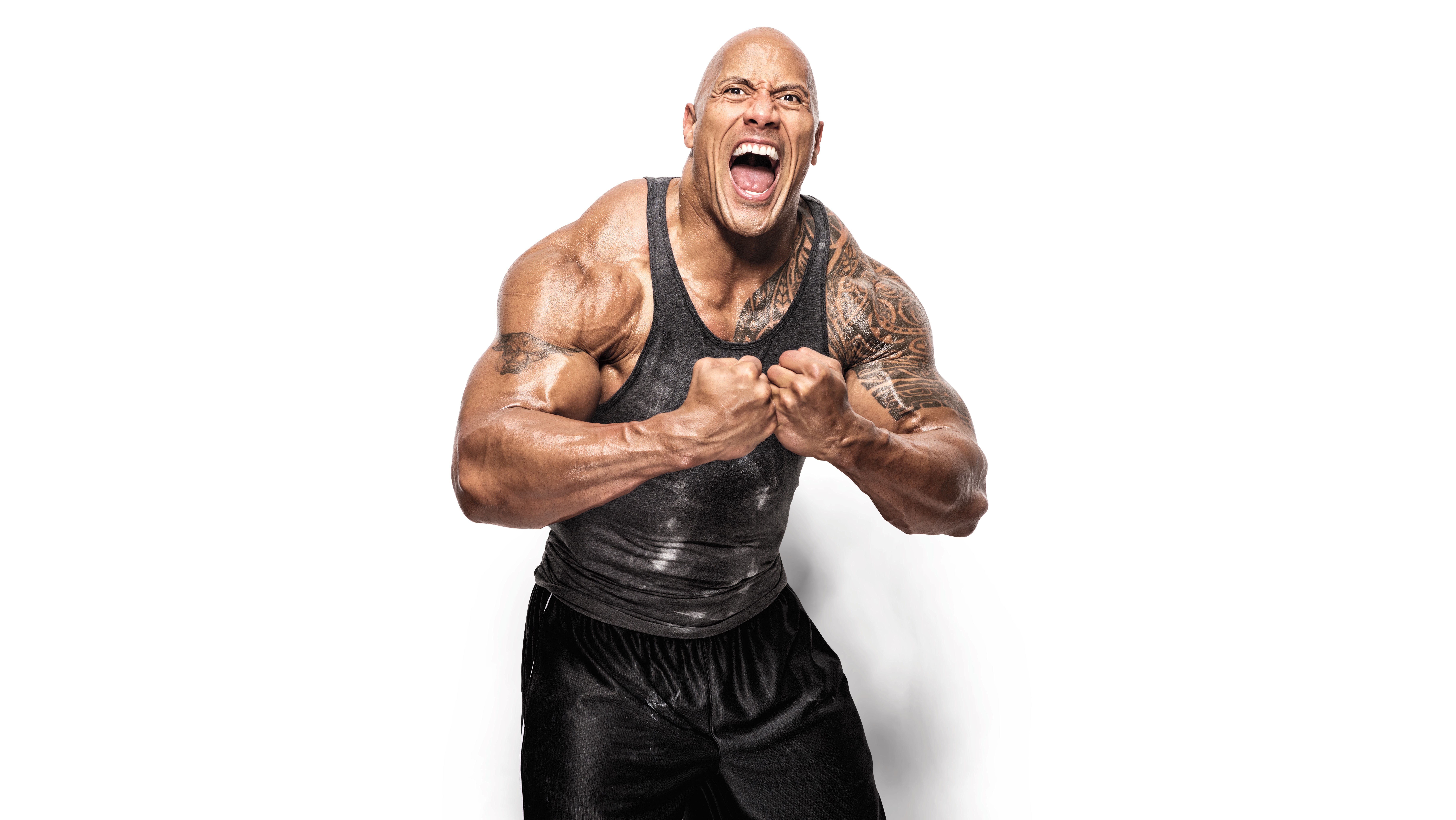 Dwayne Johnson, WWE Superstars, Luchador de WWE, 5K, 8K, Fondo blanco