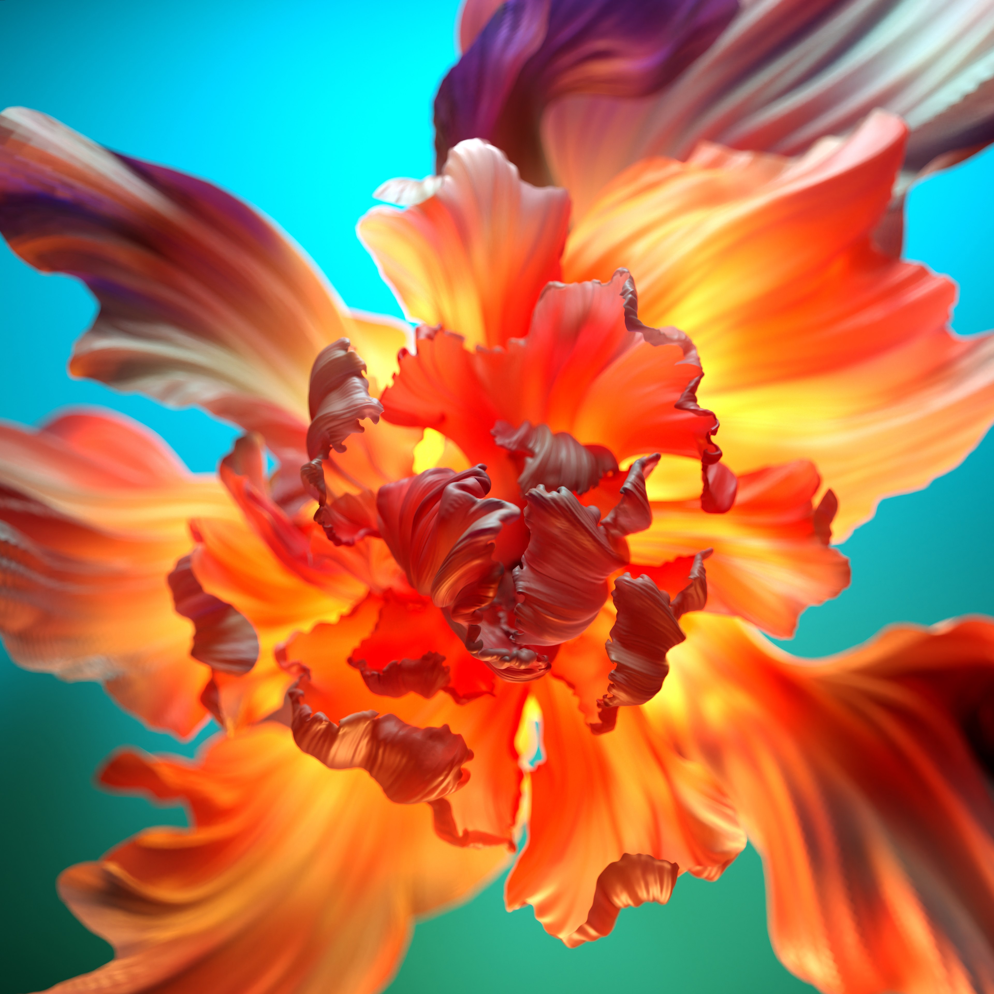 Flor naranja, Fondo floral, Colorido, Fondo 3D, Arte digital