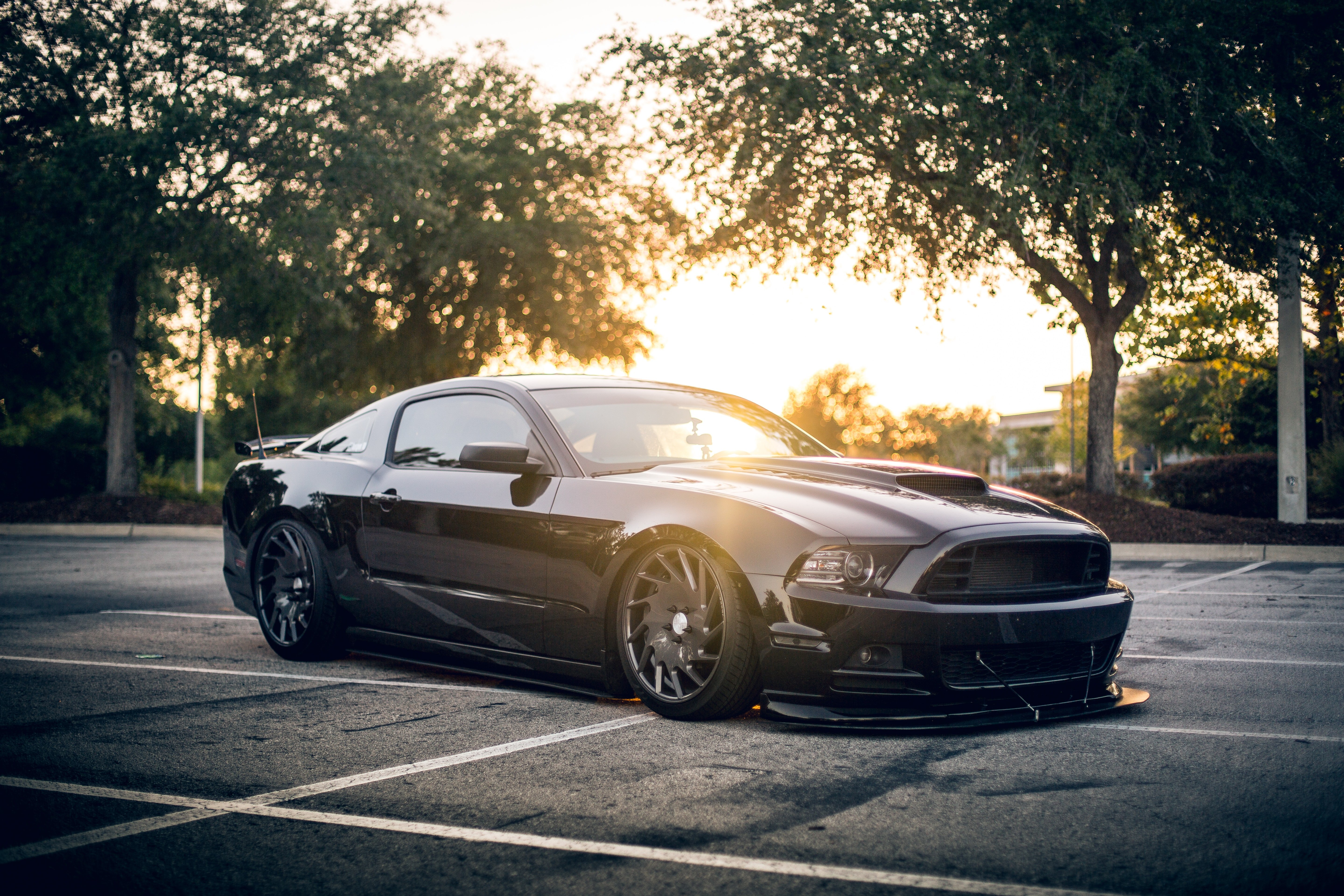 Ford Mustang GT, Coches negros, Coches deportivos, Automóvil, Sedán, Luz del sol, 5K
