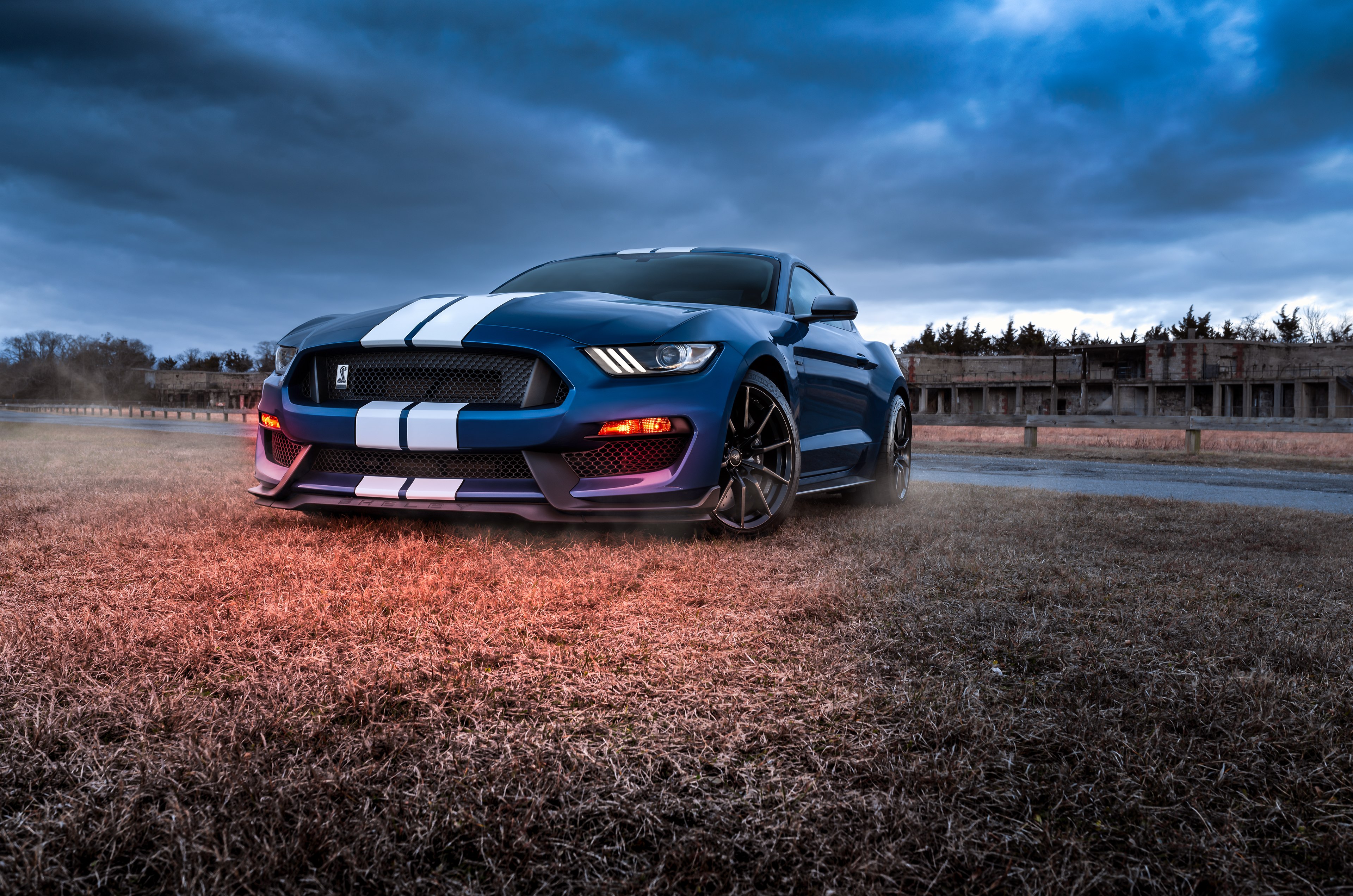 Ford Mustang Shelby GT500, Muscle cars
