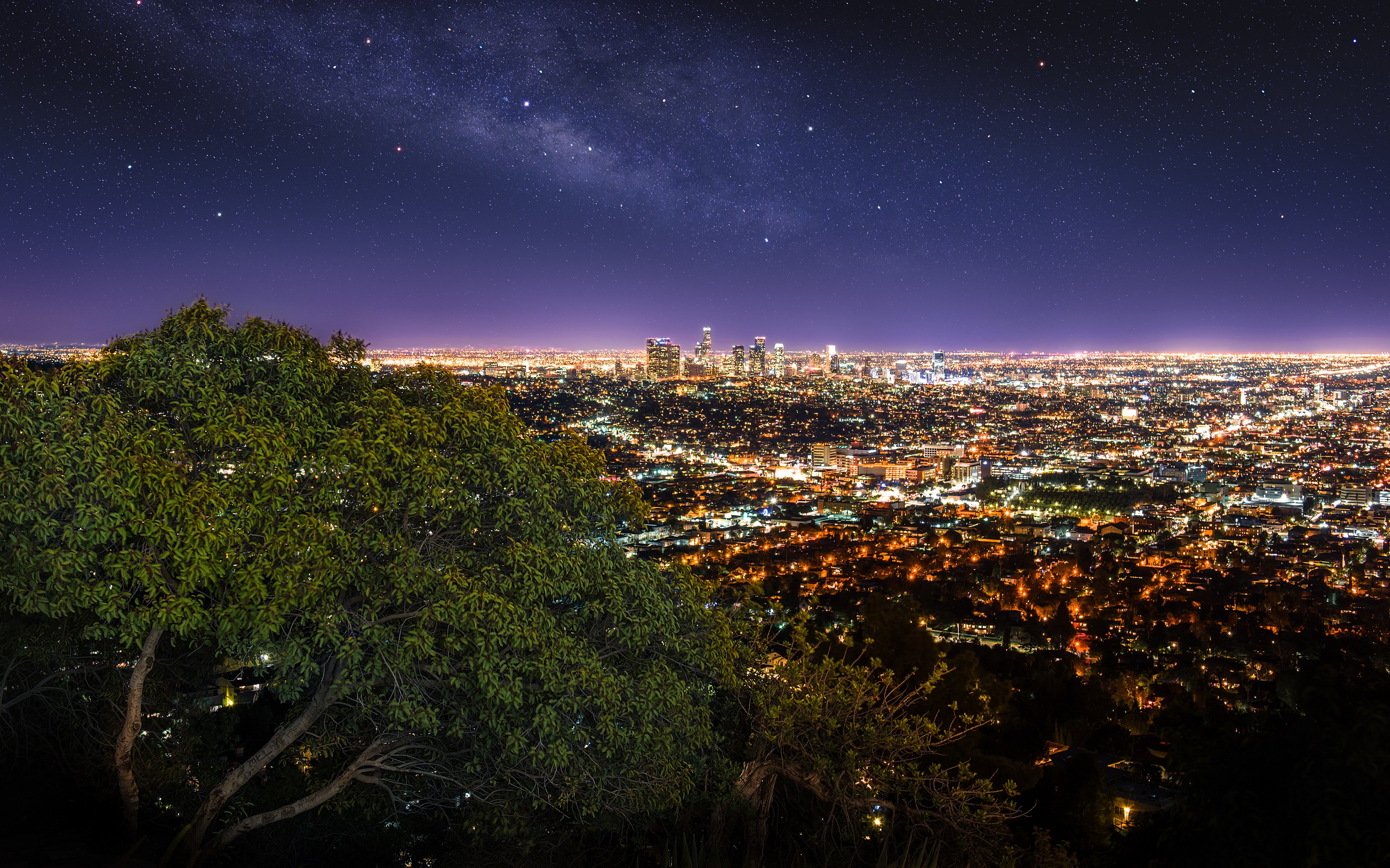 Los Ángeles, Paisaje urbano, Luces de la ciudad, De noche, Horizonte, Cielo estrellado, Árbol verde, Cielo púrpura, Rascacielos